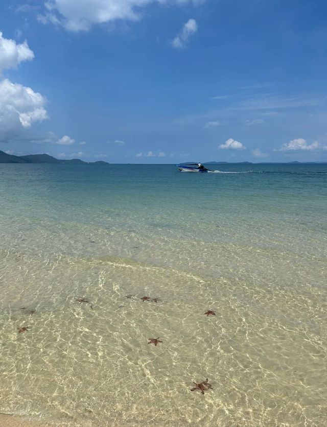 海星沙灘靚到窒息！隨手影都係大片
