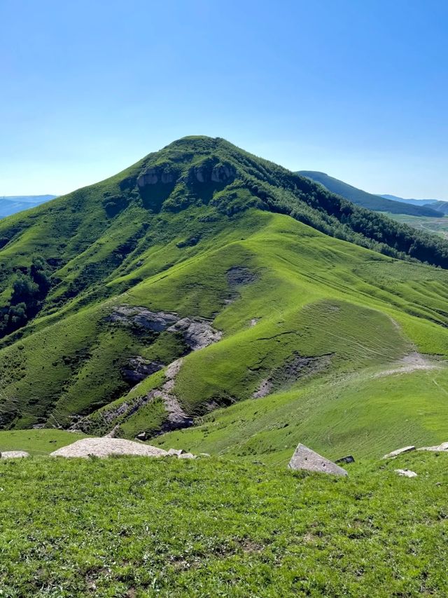 北京3小時直達！20℃抹茶色清涼秘境藏不住了！
