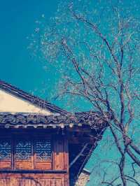 鹽官潮樂之城｜千年潮韻與現代藝術的奇幻交響】**   