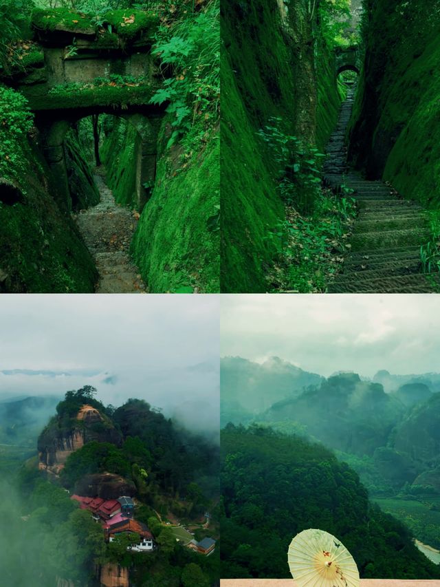 武夷山旅遊攻略 | 一場穿越山水與茶香的奇幻之旅
