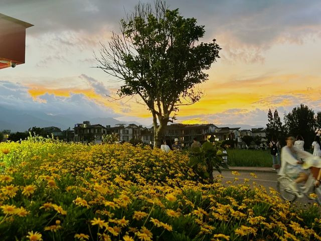 雲南9日8夜超全攻略，跟住玩慳心又唔會中伏！啱啱親測完，由交通住宿到必玩項目全部整理好，夏天出發直接抄功課～