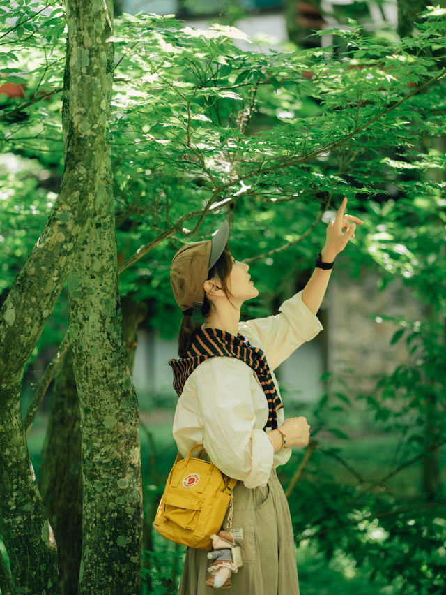 日本秘境｜青森睡魔祭：5天4晚避暑攻略