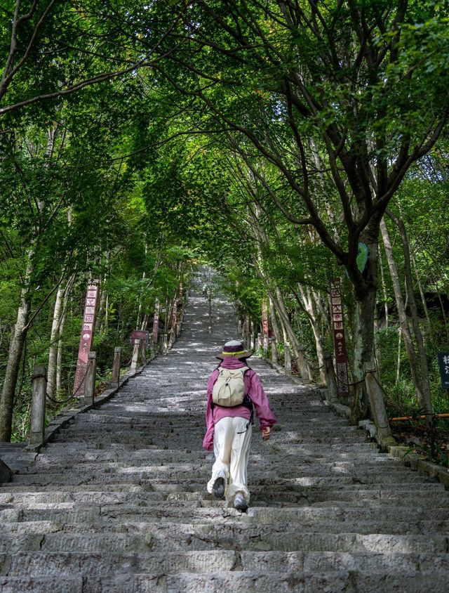 為了這18張圖…我特意去了趟九皇山！附機位
