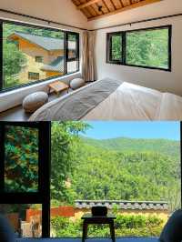 吉安萬安秋季|深山古村追銀杏