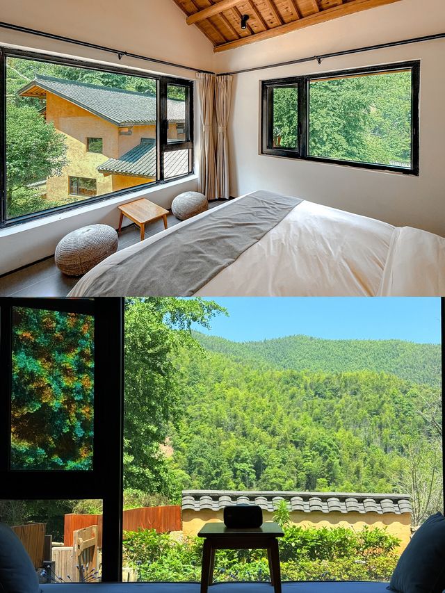 吉安萬安秋季|深山古村追銀杏 吉安萬安秋季|深山古村追銀杏