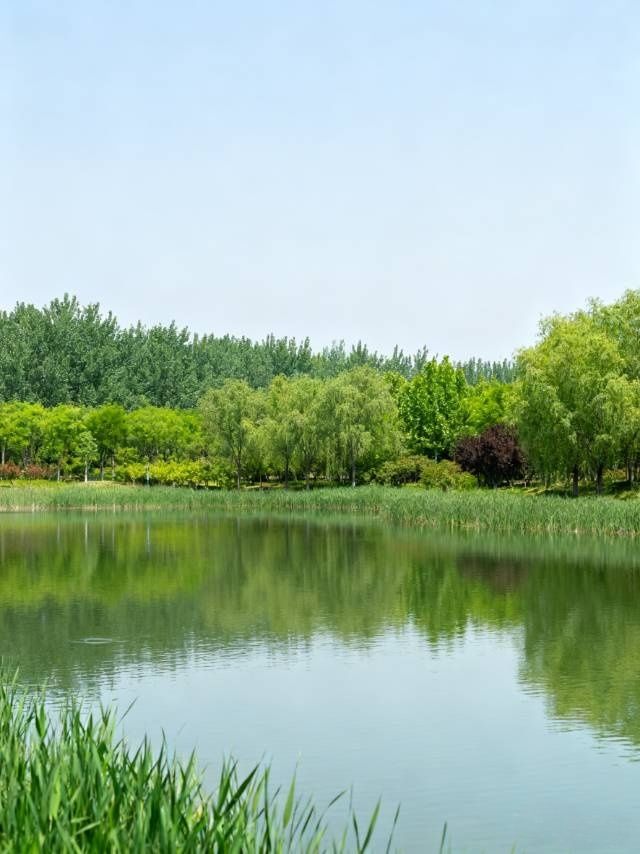 鄭州 小眾中式建築攝影點