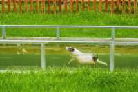 避暑就來三峽九鳳谷，解鎖山水間的清涼