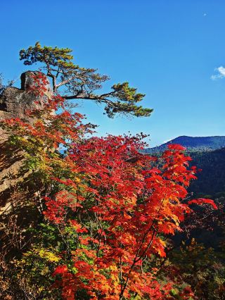 The pinnacle of autumn colors is here