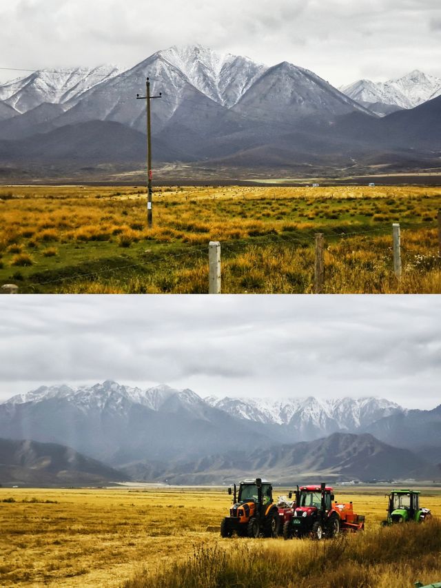 西北秘境解鎖｜祁連山腳下的千年馬場與絲路明珠！