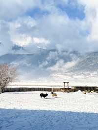私藏雪景拍照聖地香格里拉民宿