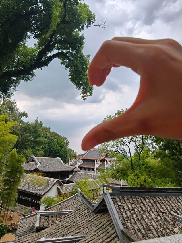 帶小學課本爬嶽麓山，在愛晚亭讀懂了楓林晚