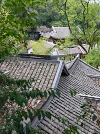 帶小學課本爬嶽麓山，在愛晚亭讀懂了楓林晚