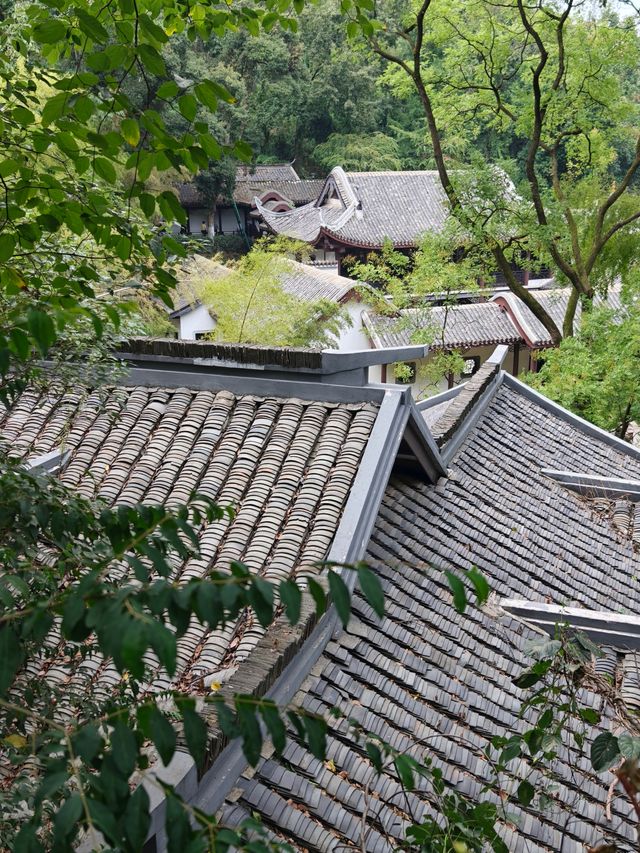 帶小學課本爬嶽麓山，在愛晚亭讀懂了楓林晚