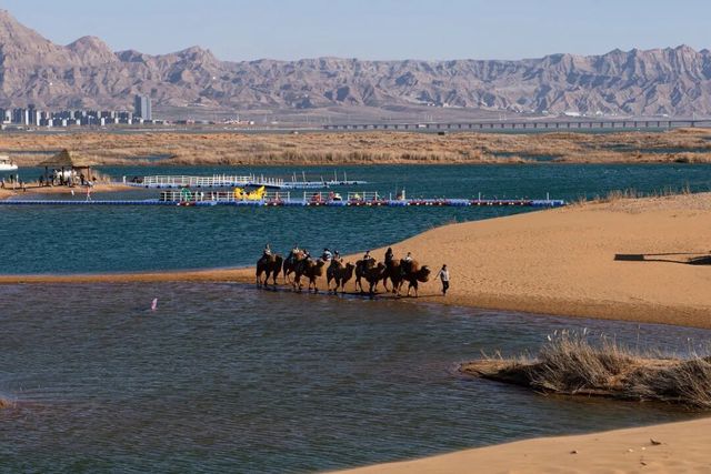 烏海探秘大揭秘！沙漠、湖泊、綠洲的奇幻之旅