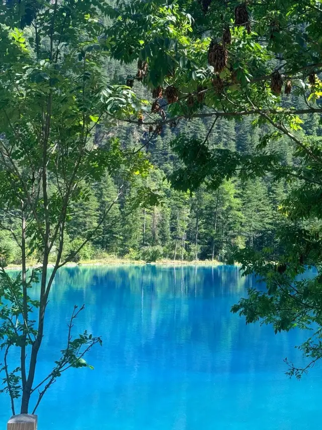 Departing from Chongqing to Jiuzhaigou with fewer crowds and beautiful scenery