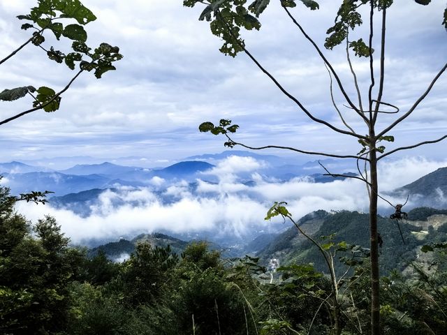 平和縣大芹山 平和縣大芹山