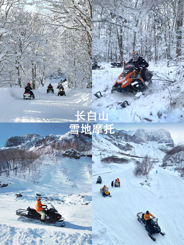 閉眼衝1W+的東北高奢遊,小貴但很值 閉眼衝1W+的東北高奢遊,小貴但很值