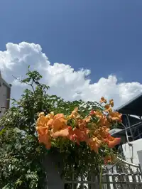 上海週末別扎堆!來這個海邊小鎮放鬆一下
