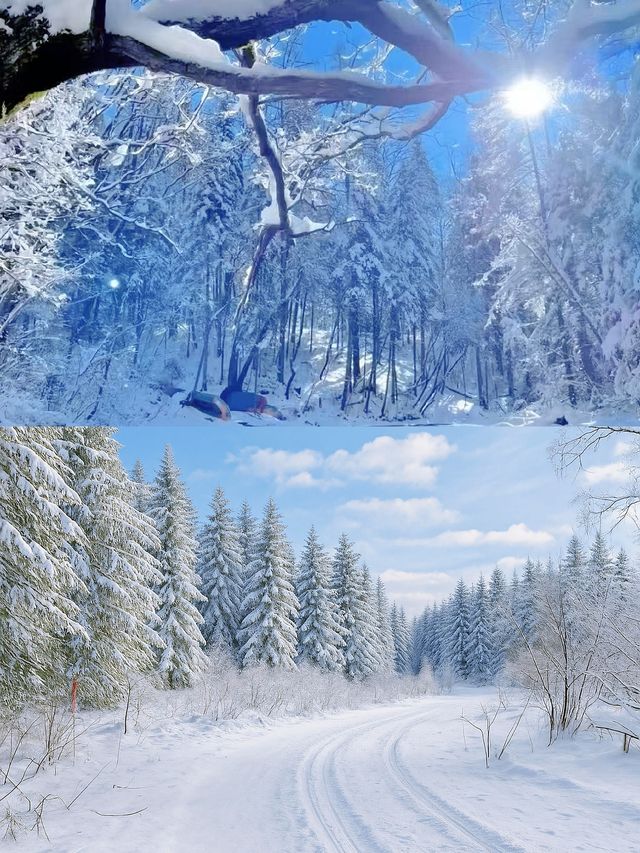 長白山冬日才是封神之作!這6個秘境美到犯規! 長白山冬日才是封神之作!這6個秘境美到犯規!