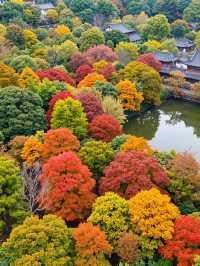 雲平山賞秋全攻略｜上帝最愛的調色板就在這裡！