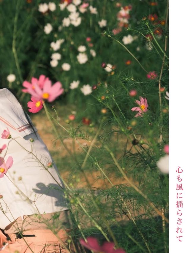 大阪長居植物園旅拍小師妹花海裡笑靨如花