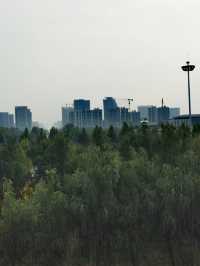 【河南省濮陽市】龍山公園。