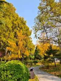 叢台公園の秋日封神操作！3分鐘吃透限定浪漫