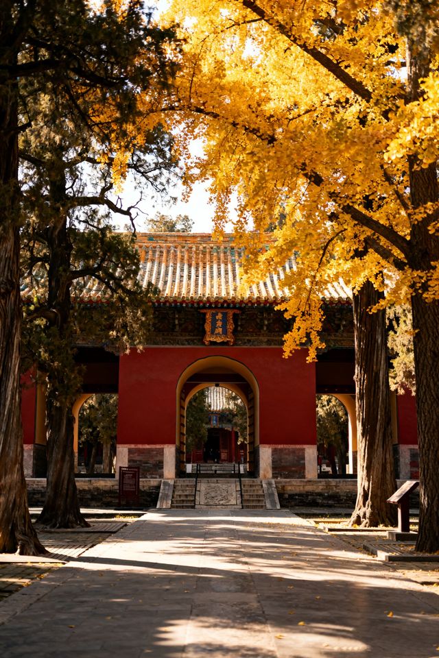 3天暢玩攻略濟南-泰安-濟寧衝鴨