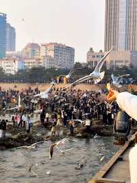 青島出遊之棧橋餵海鷗看落日