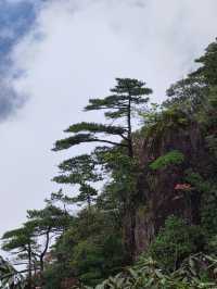 此生必爬的三清山｜雲霧繚繞的人間仙境