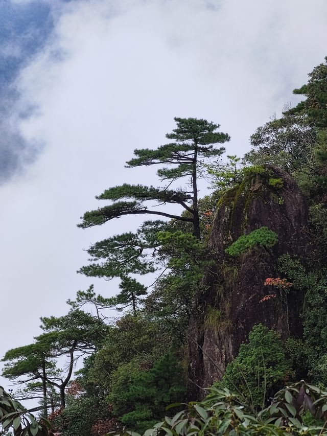 此生必爬的三清山｜雲霧繚繞的人間仙境