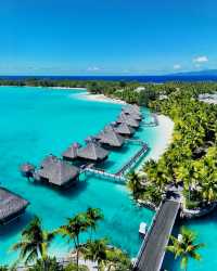 七日幻夢：我的波拉波拉漂浮日記