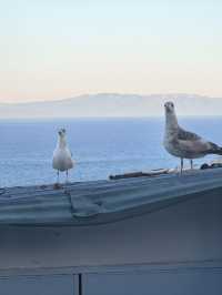 秋遊摩洛哥包車出行超省心