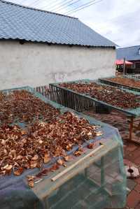 離天空很近的世外桃源小村莊