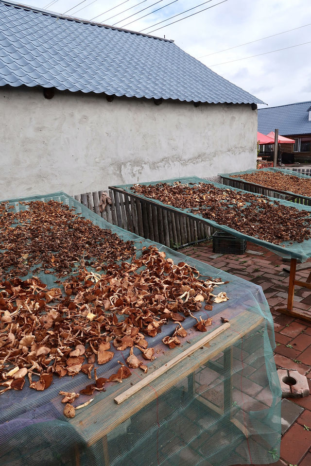 離天空很近的世外桃源小村莊