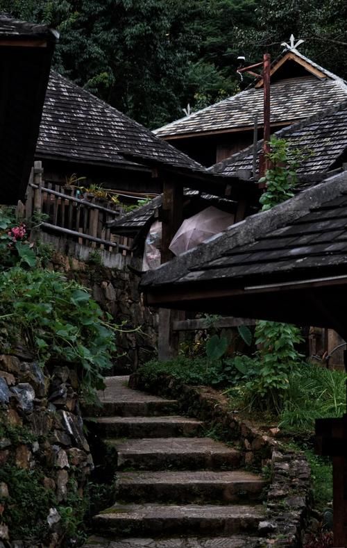 北回歸線的綠洲上,邂逅茶香與咖啡香 北回歸線的綠洲上,邂逅茶香與咖啡香