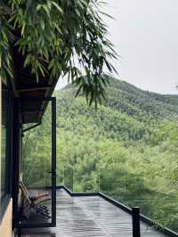 打工人週末充電指南｜來安吉梵隱當48小時山野閒人