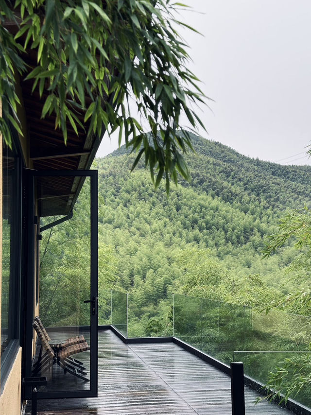 打工人週末充電指南｜來安吉梵隱當48小時山野閒人