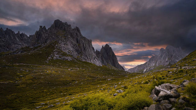 甘南秘境自駕攻略｜闖入魔戒同款魔幻森林