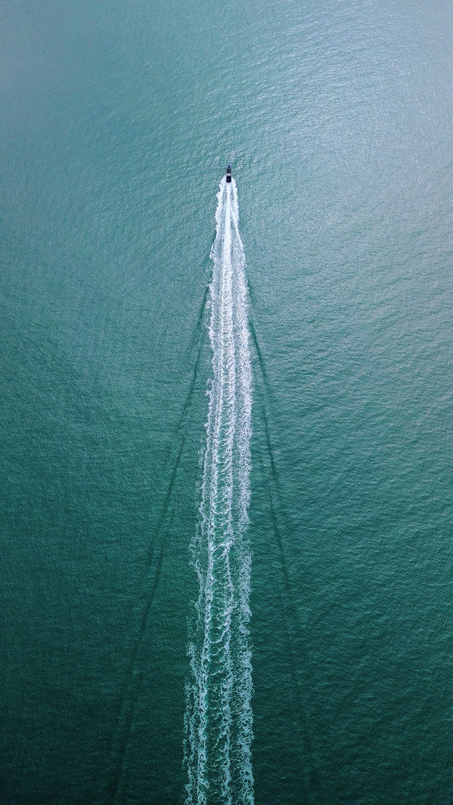 秋冬來大澳灣血賺！