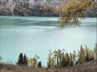 太難了!終於把喀納斯旅遊攻略搞清楚了