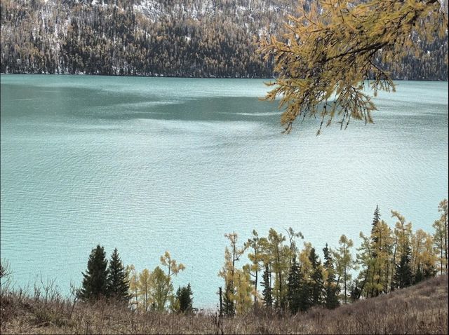 太難了!終於把喀納斯旅遊攻略搞清楚了 太難了!終於把喀納斯旅遊攻略搞清楚了