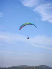 挖到一條寶藏秋遊採橘子路線！