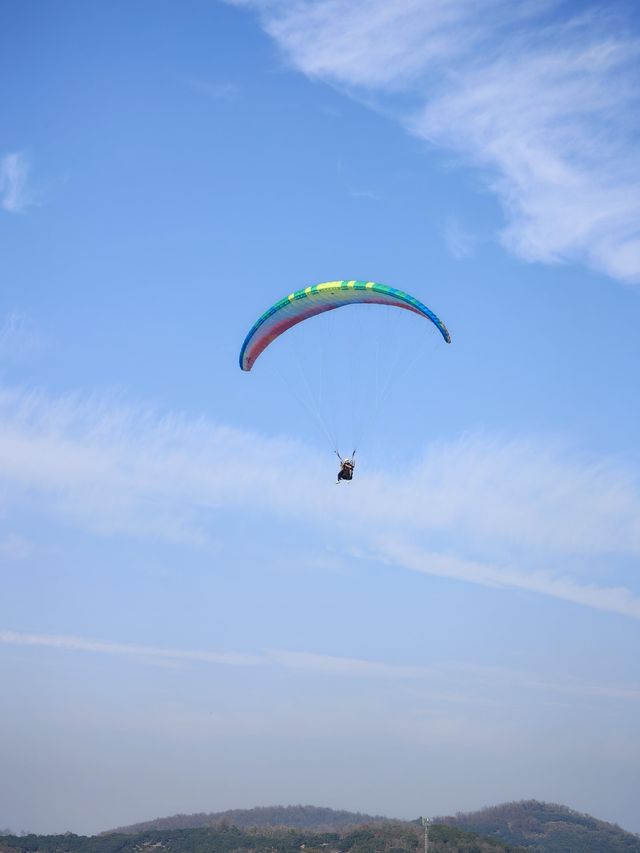 挖到一條寶藏秋遊採橘子路線！