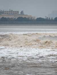 是小學課本上的海寧鹽官錢塘江觀潮