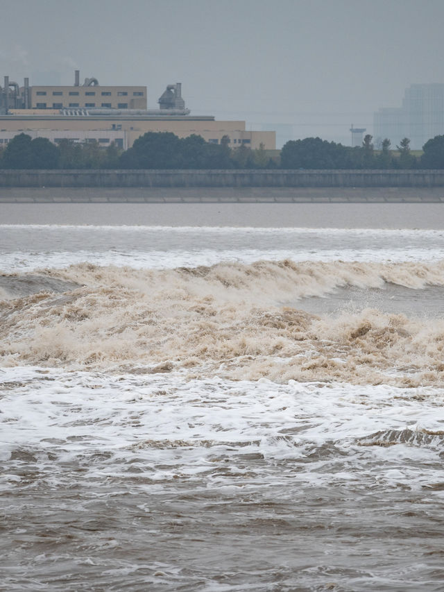 是小學課本上的海寧鹽官錢塘江觀潮