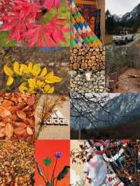 九寨溝的秋與冬丨調色盤打翻在人間的童話世界