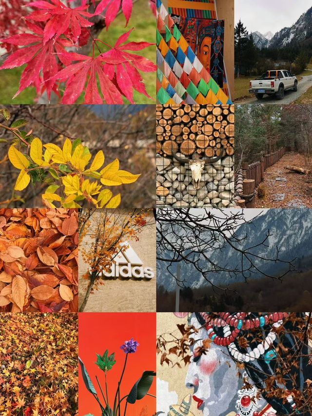 九寨溝的秋與冬丨調色盤打翻在人間的童話世界