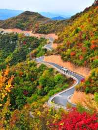 北京人的最愛，南太行的最美--秋日限定色！