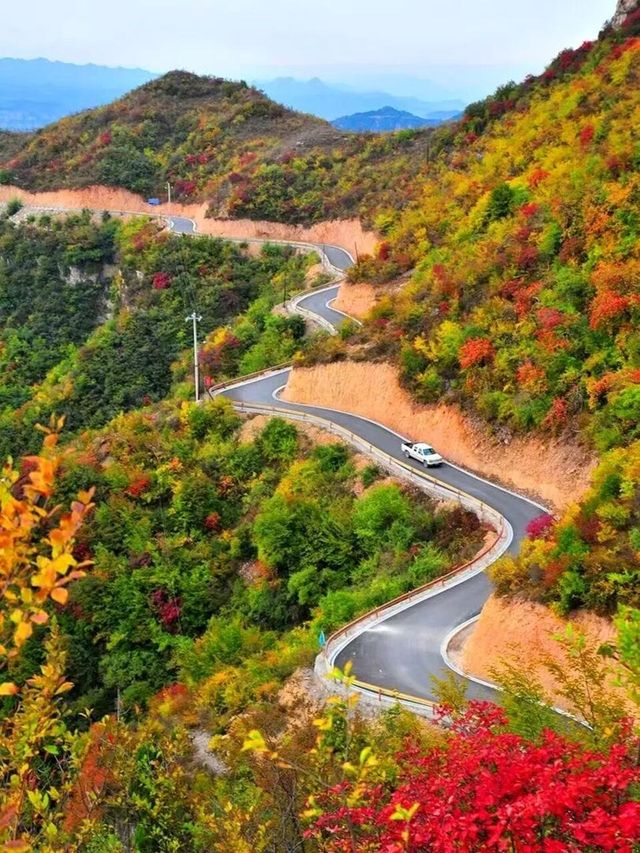 北京人的最愛，南太行的最美--秋日限定色！